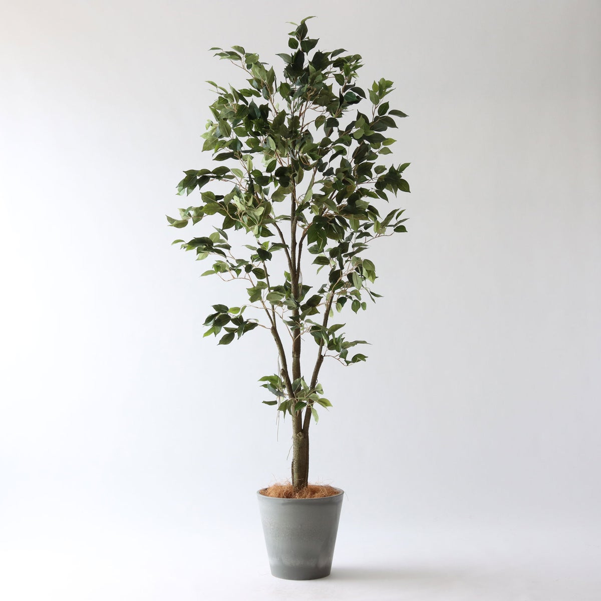 ⑮ Petraポット 小（PT8 グレー）｜高さ調整セット（+10cm）