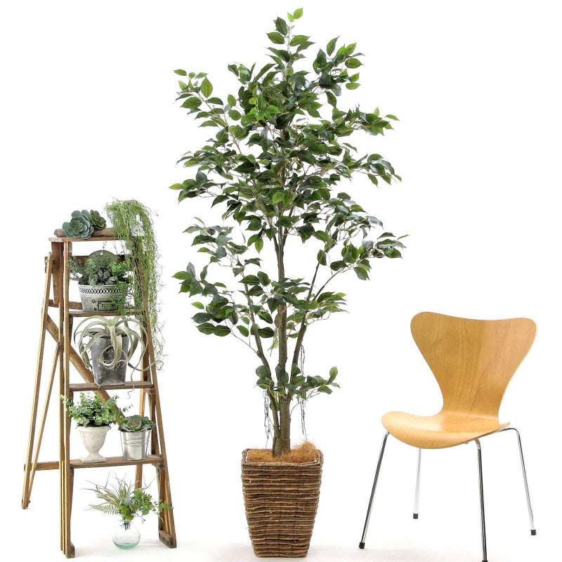 ② バナナリーフ 大（KG5-SRE）鉢カバーセット