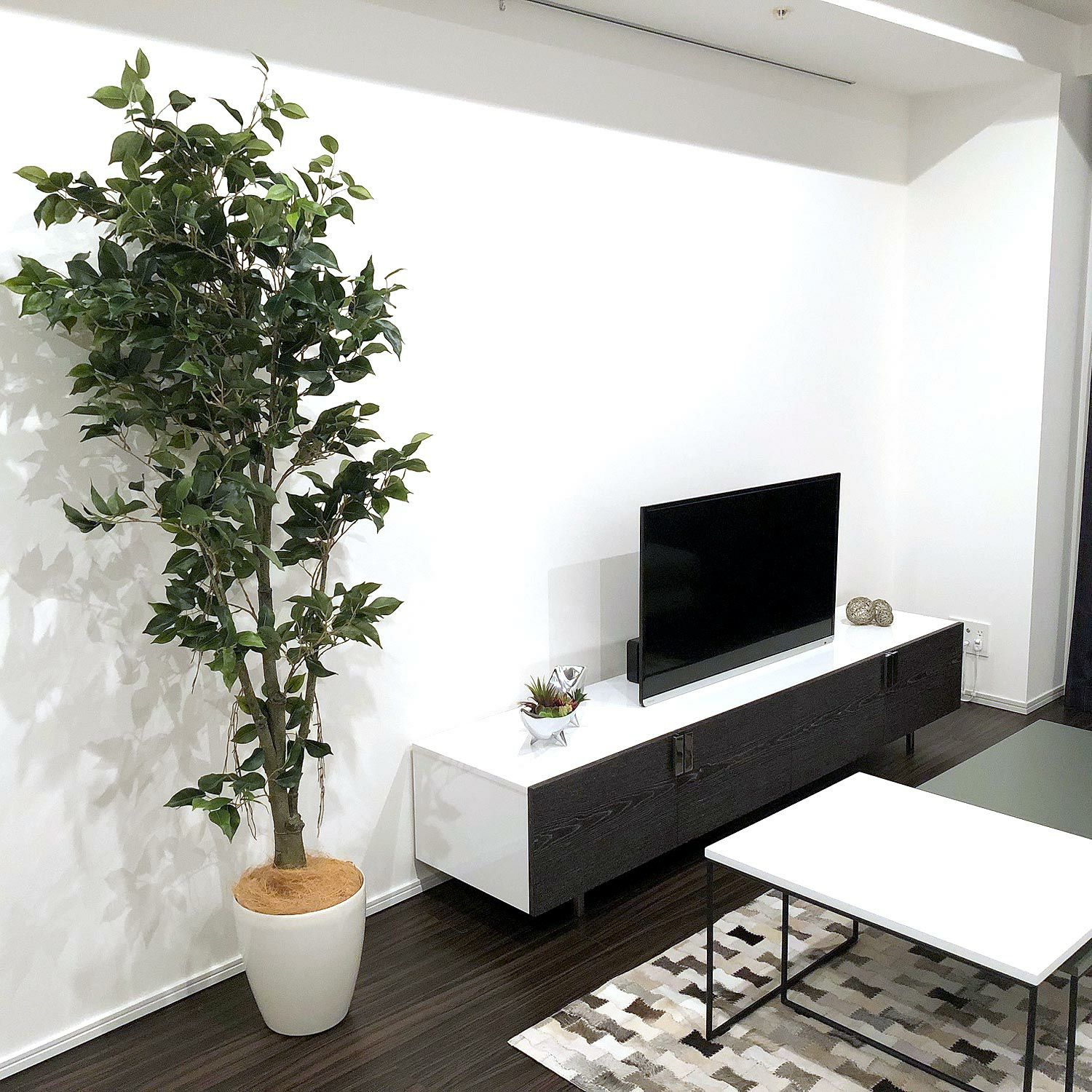 モノトーンインテリアに映えるグリーン