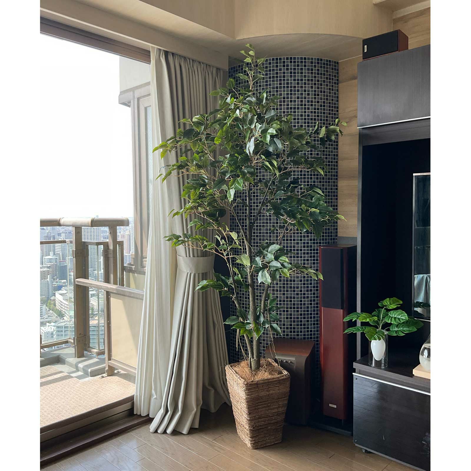 タワーマンションの窓辺 リビングボード横のグリーン