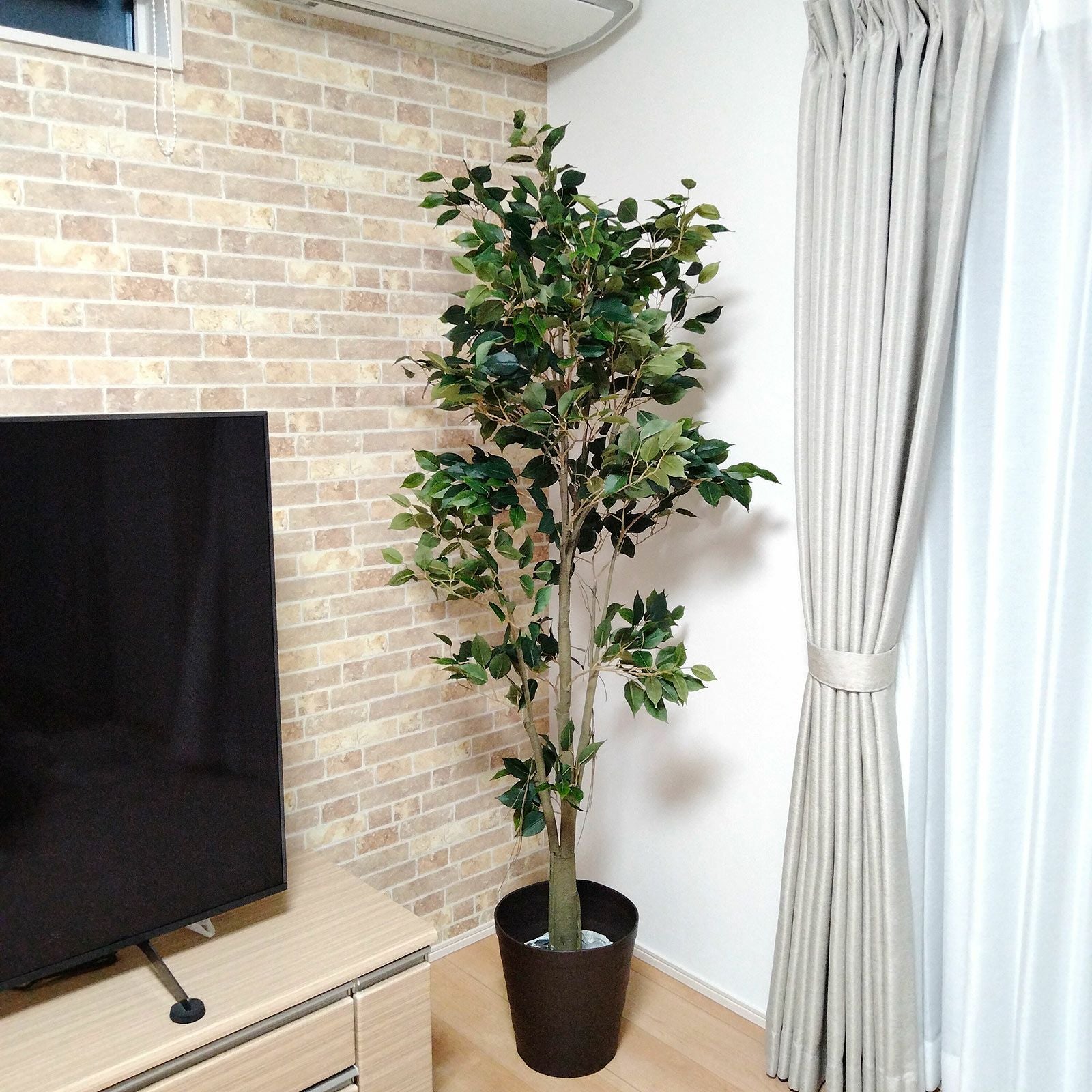 レンガ調の壁 テレビ横のグリーン