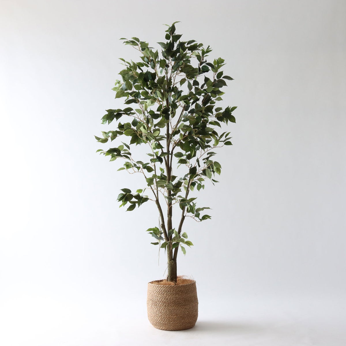 ③ シーグラス 小（SK7）｜標準セット