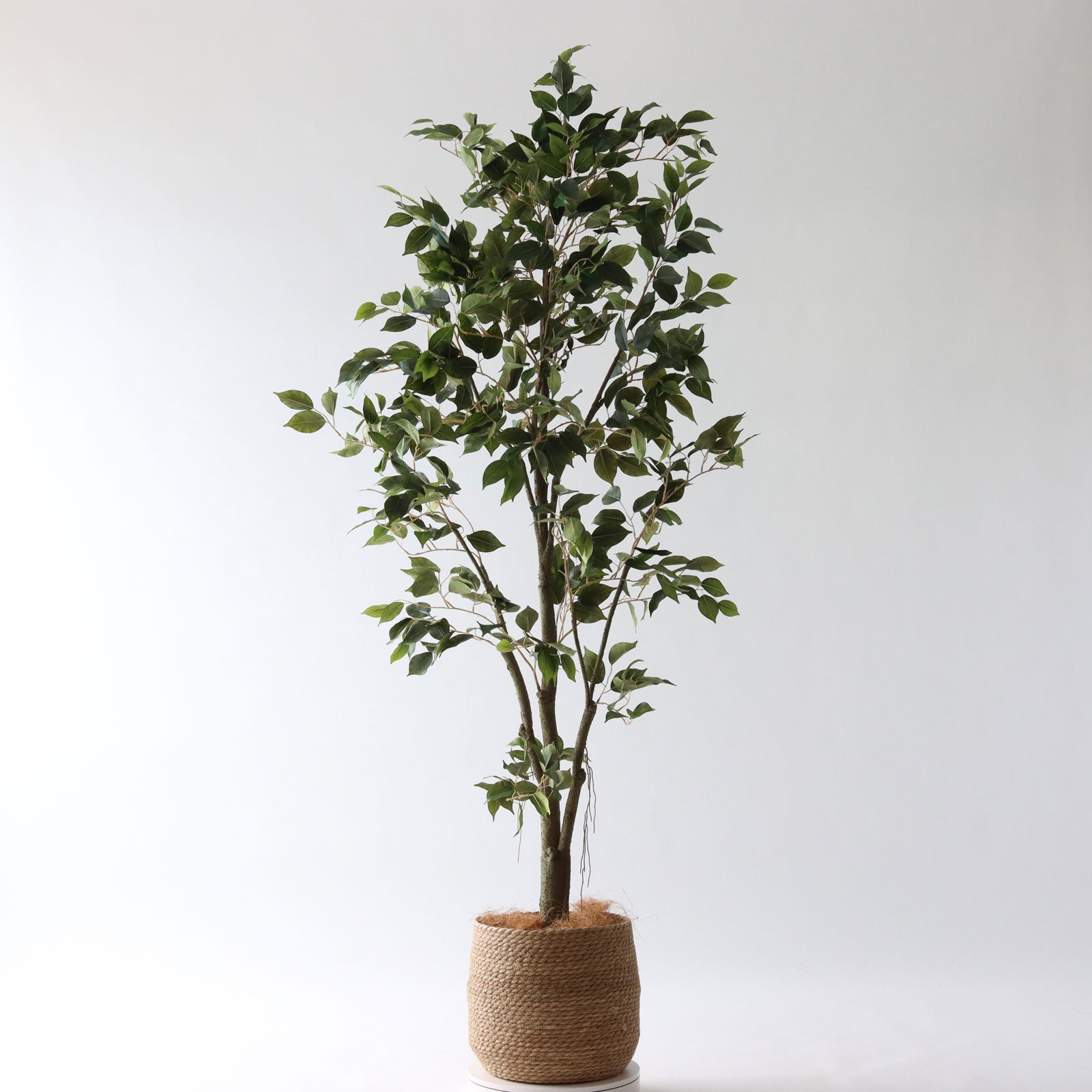 360度回転イメージ