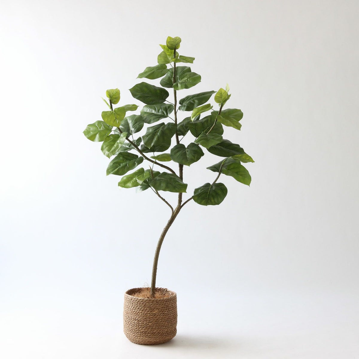 ③ シーグラス 小（SK7）鉢カバーセット