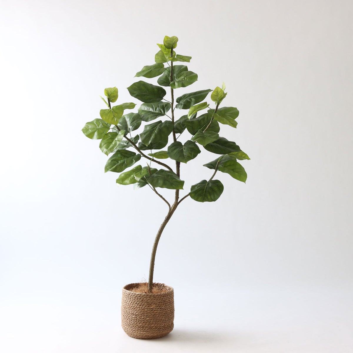 ③ シーグラス 小（SK7）｜標準セット