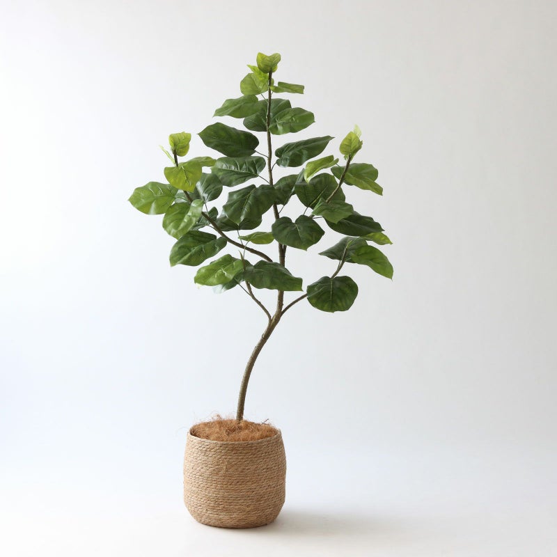 ① シーグラス 大（SK8）鉢カバーセット