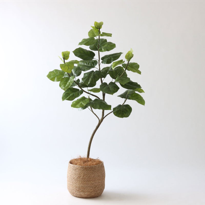 ① シーグラス 大（SK8）｜標準セット