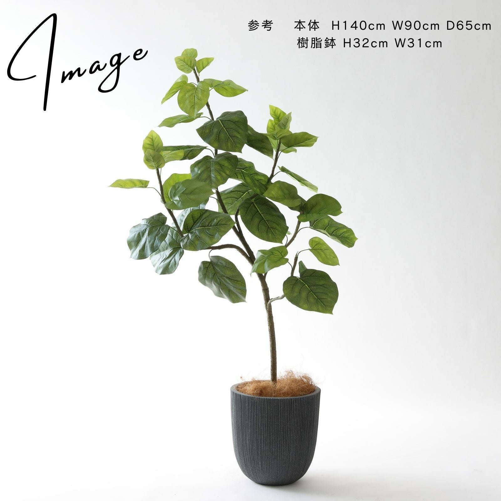 No9283 個性的な鉢カバーコーディネート例