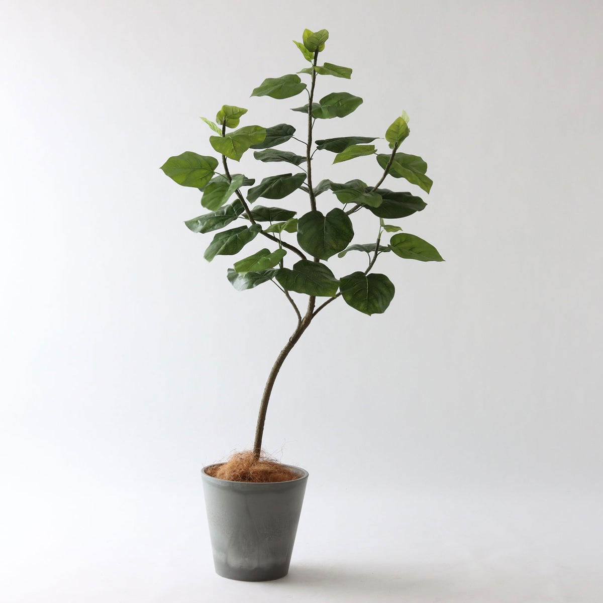 ⑮ Petraポット 小（PT8 グレー）｜高さ調整セット（+10cm）