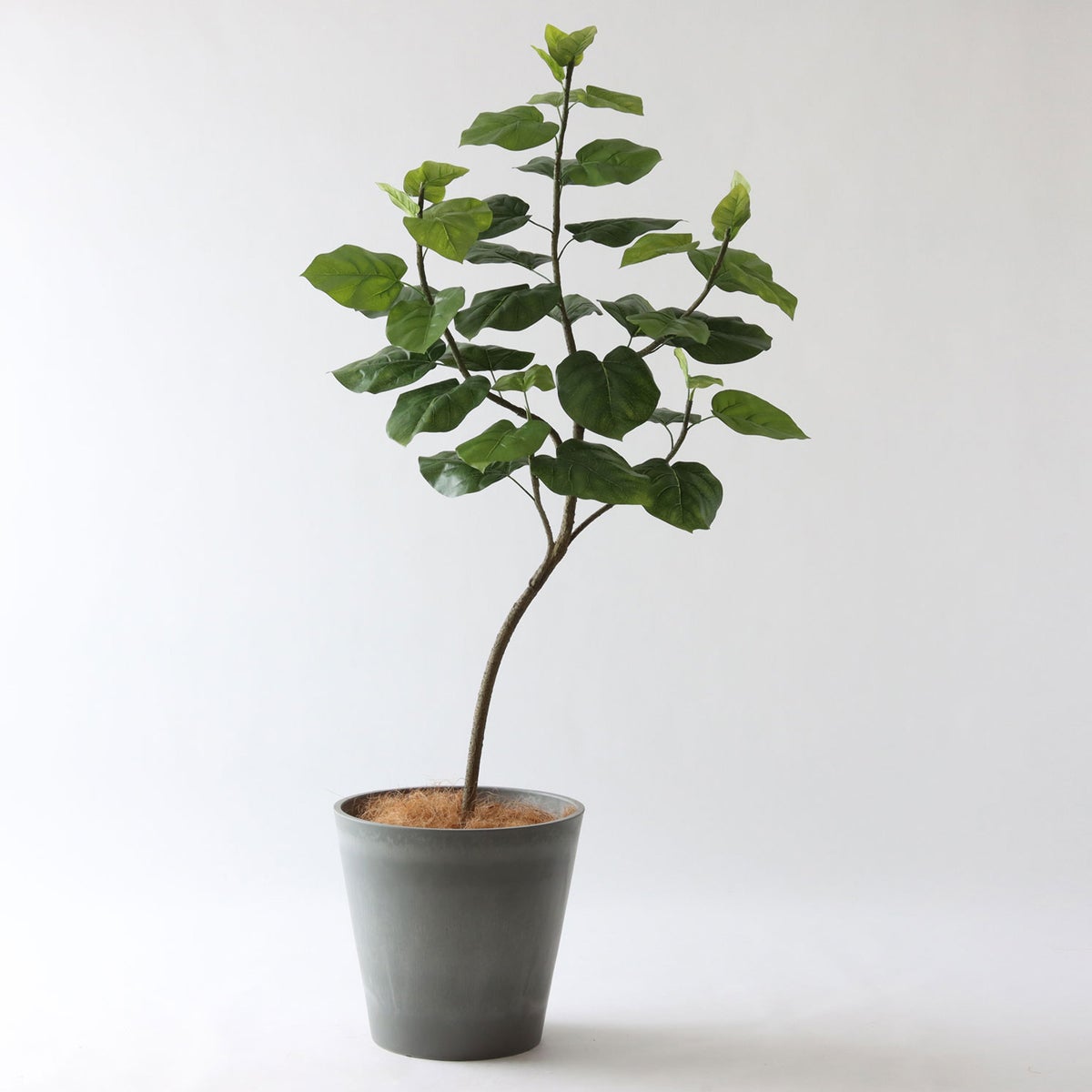 ⑯ Petraポット 大（PT10 グレー）｜高さ調整セット（+15cm）