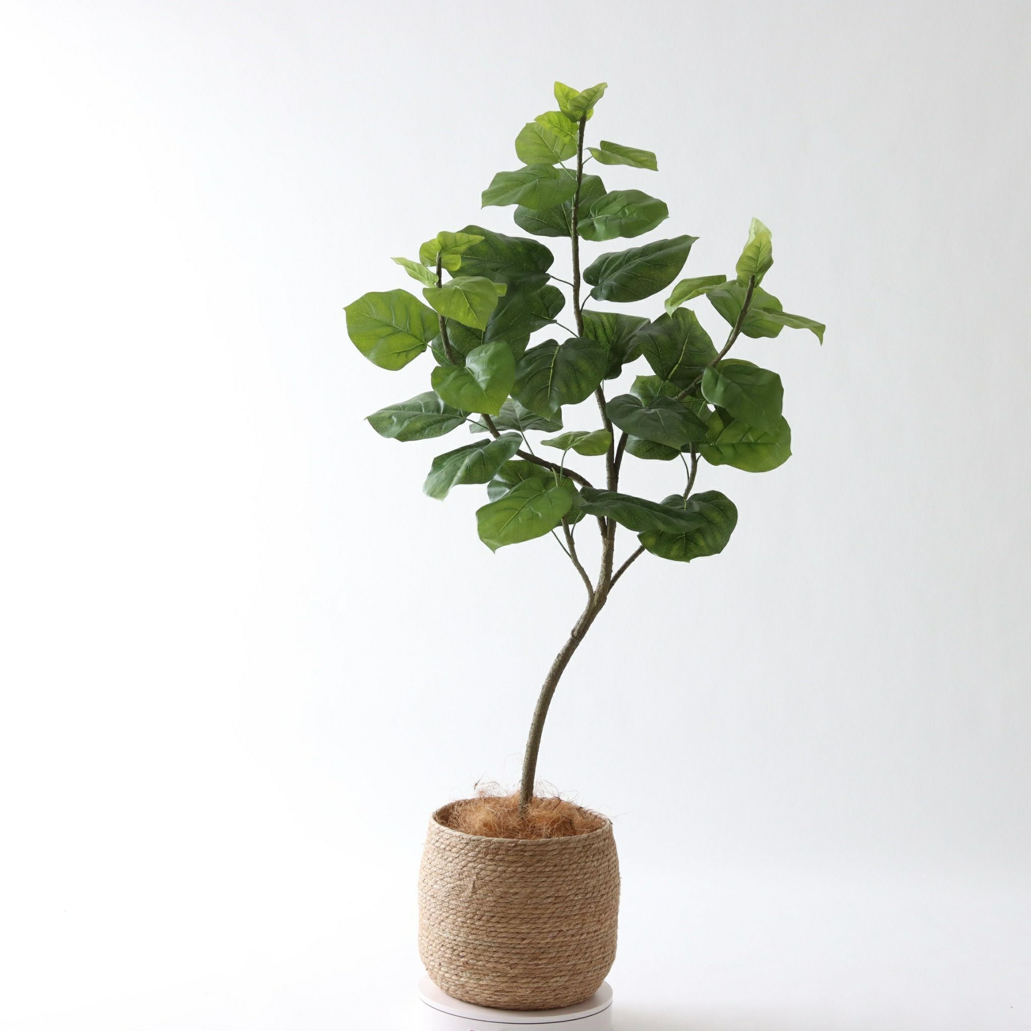 360度回転イメージ