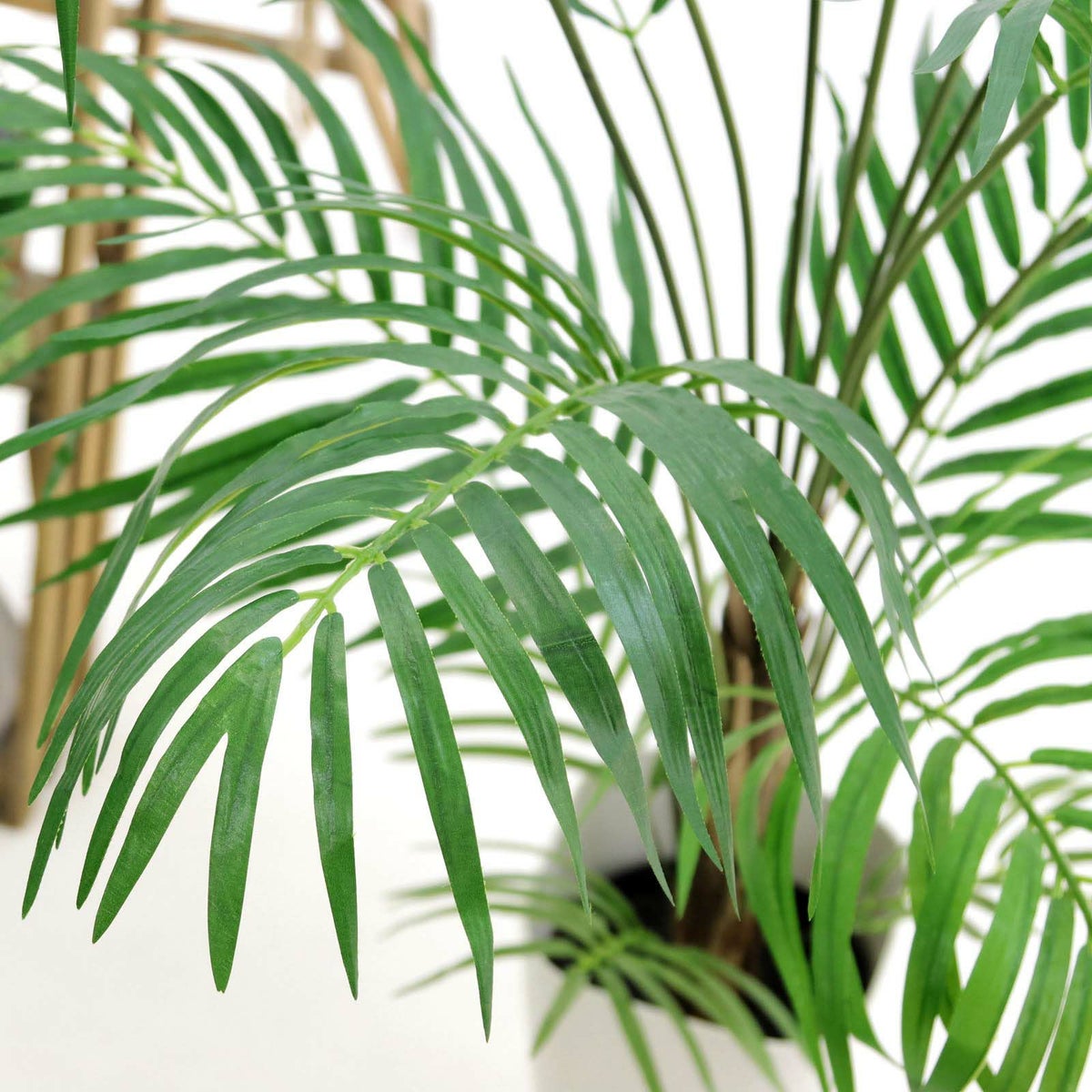 フェイクグリーン の アレカパームヤシ です