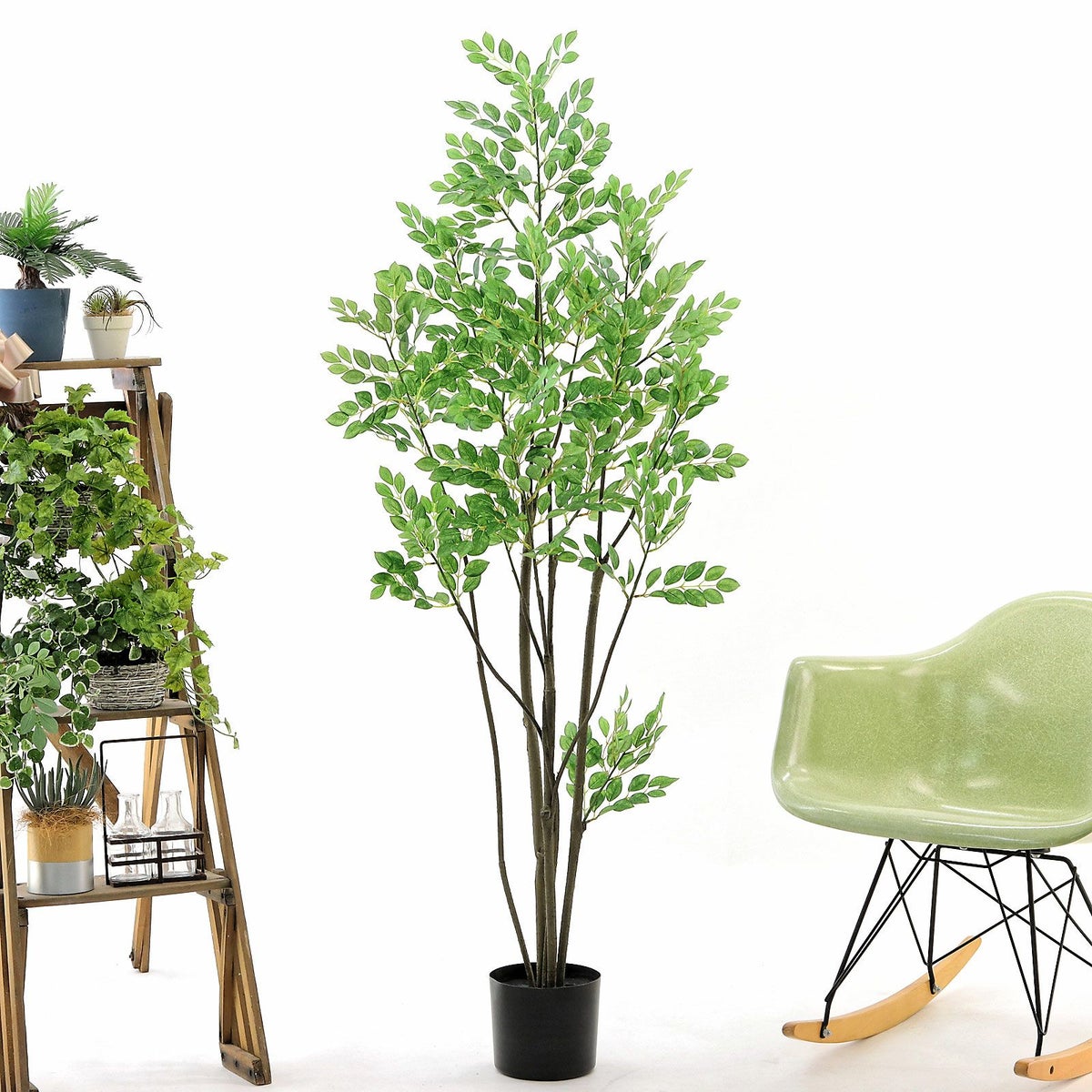 プラ鉢（+0円）