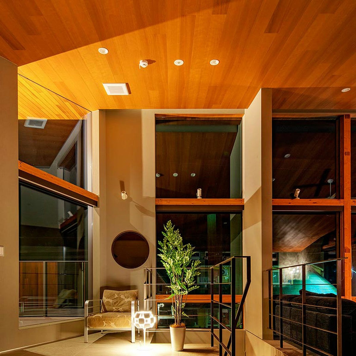 フェイクグリーン の シマトネリコ です