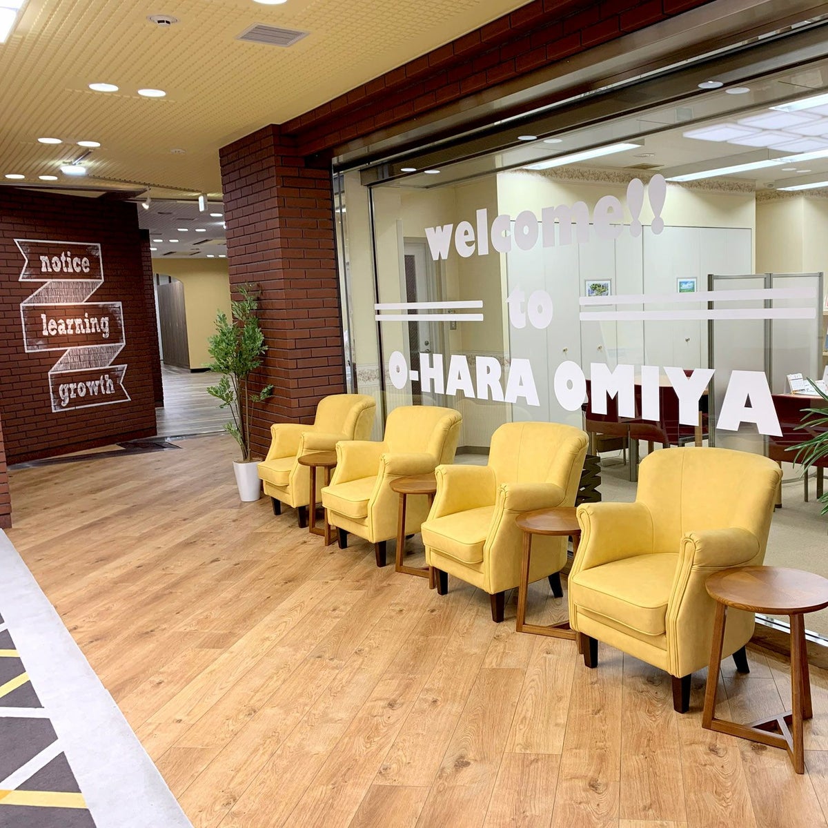 フェイクグリーン の シマトネリコ です