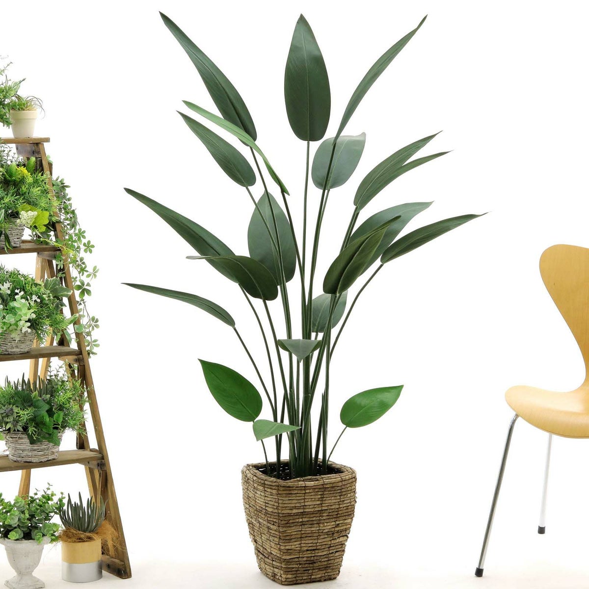 ④ バナナリーフ 小（KG4-SRE）鉢カバーセット