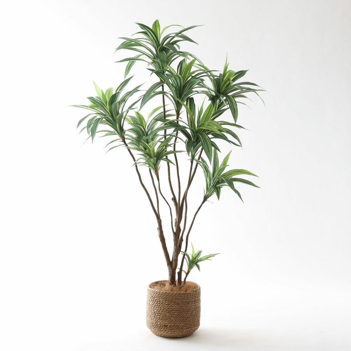 ③ シーグラス 小（SK7）鉢カバーセット