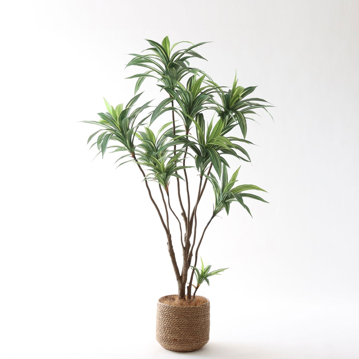 ③ シーグラス 小（SK7）｜標準セット