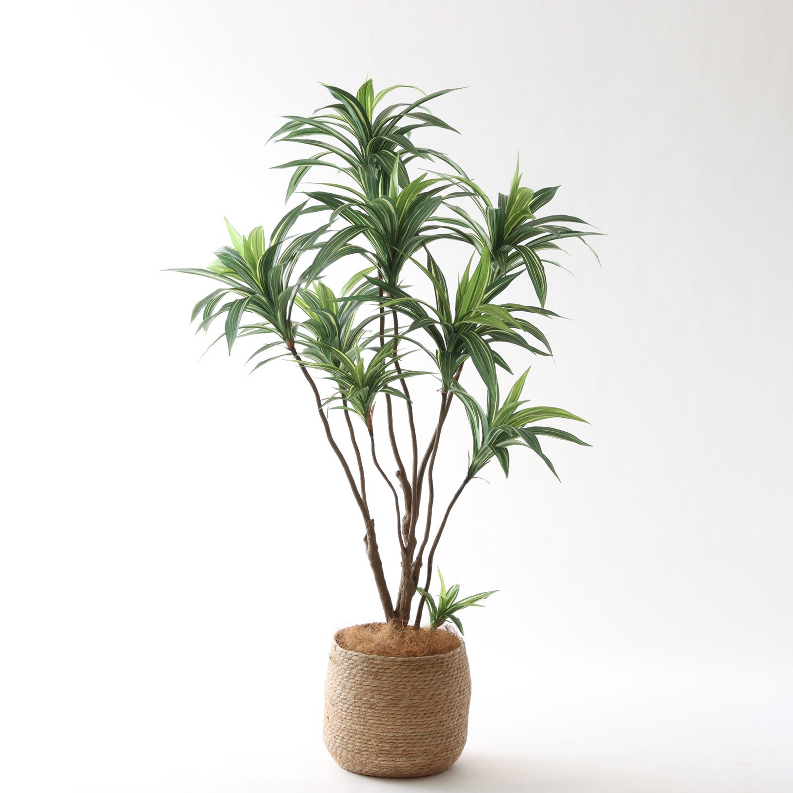 高さ120-150cm | プレミアム光触媒フェイクグリーン 造花ドットコム