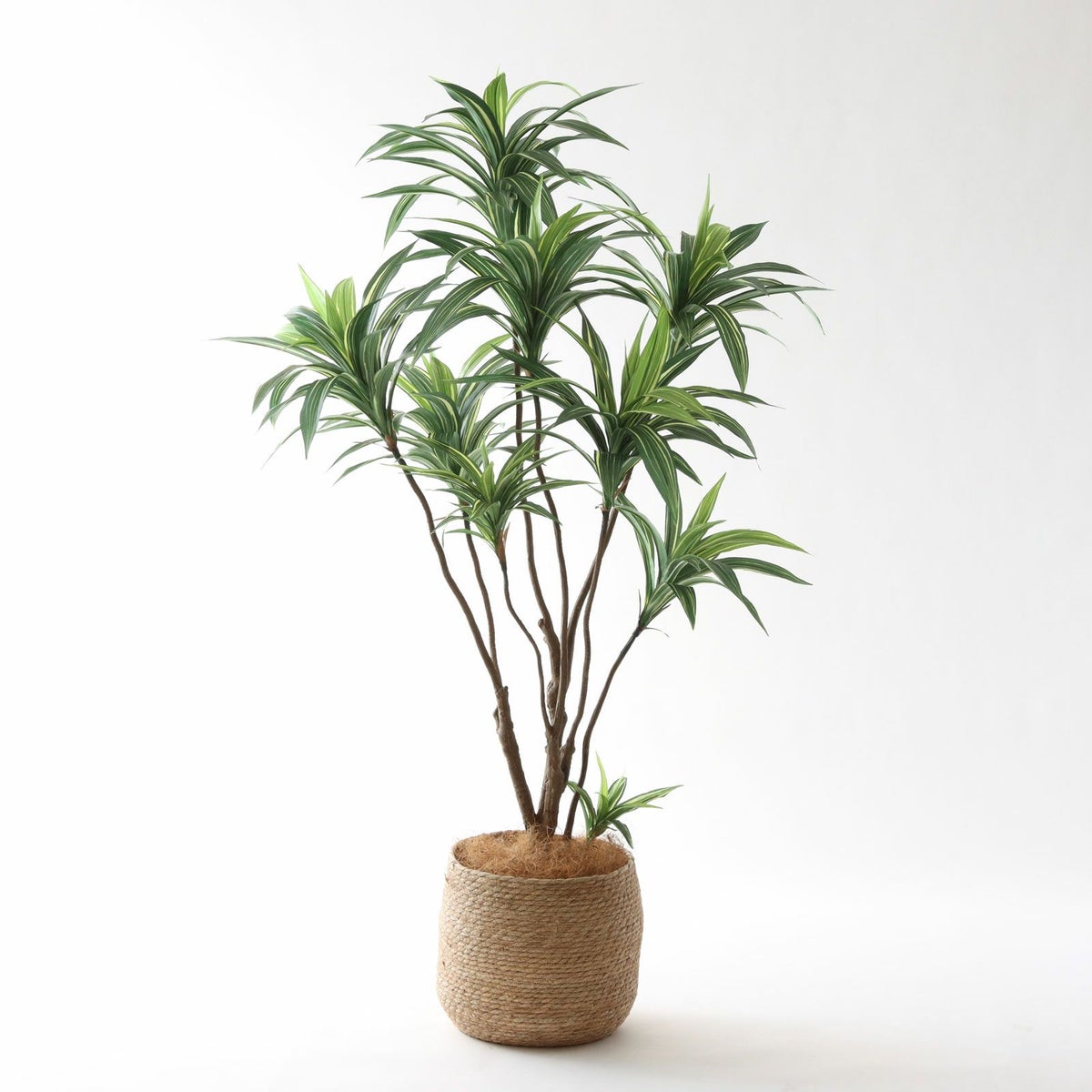 ① シーグラス 大（SK8）鉢カバーセット