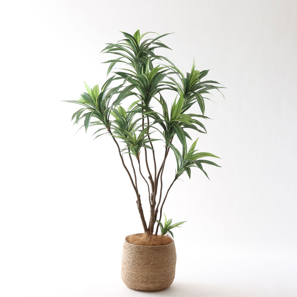 ① シーグラス 大（SK8）｜標準セット