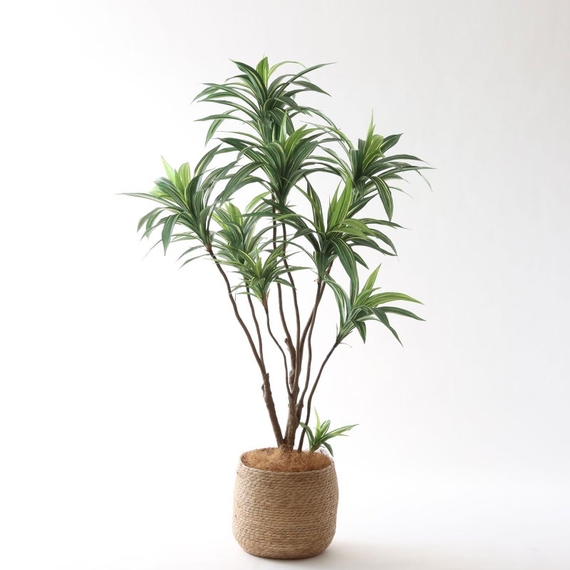 ① シーグラス 大（SK8）｜標準セット