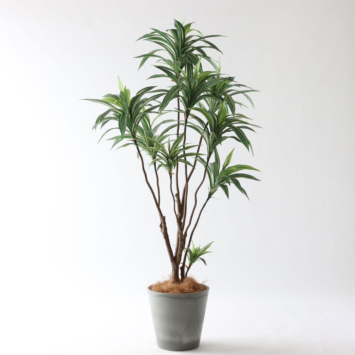 ⑮ Petraポット 小（PT8 グレー）｜高さ調整セット（+10cm）