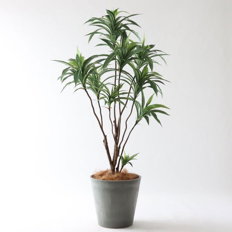 ⑯ Petraポット 大（PT10 グレー）鉢カバー＋底上げセット