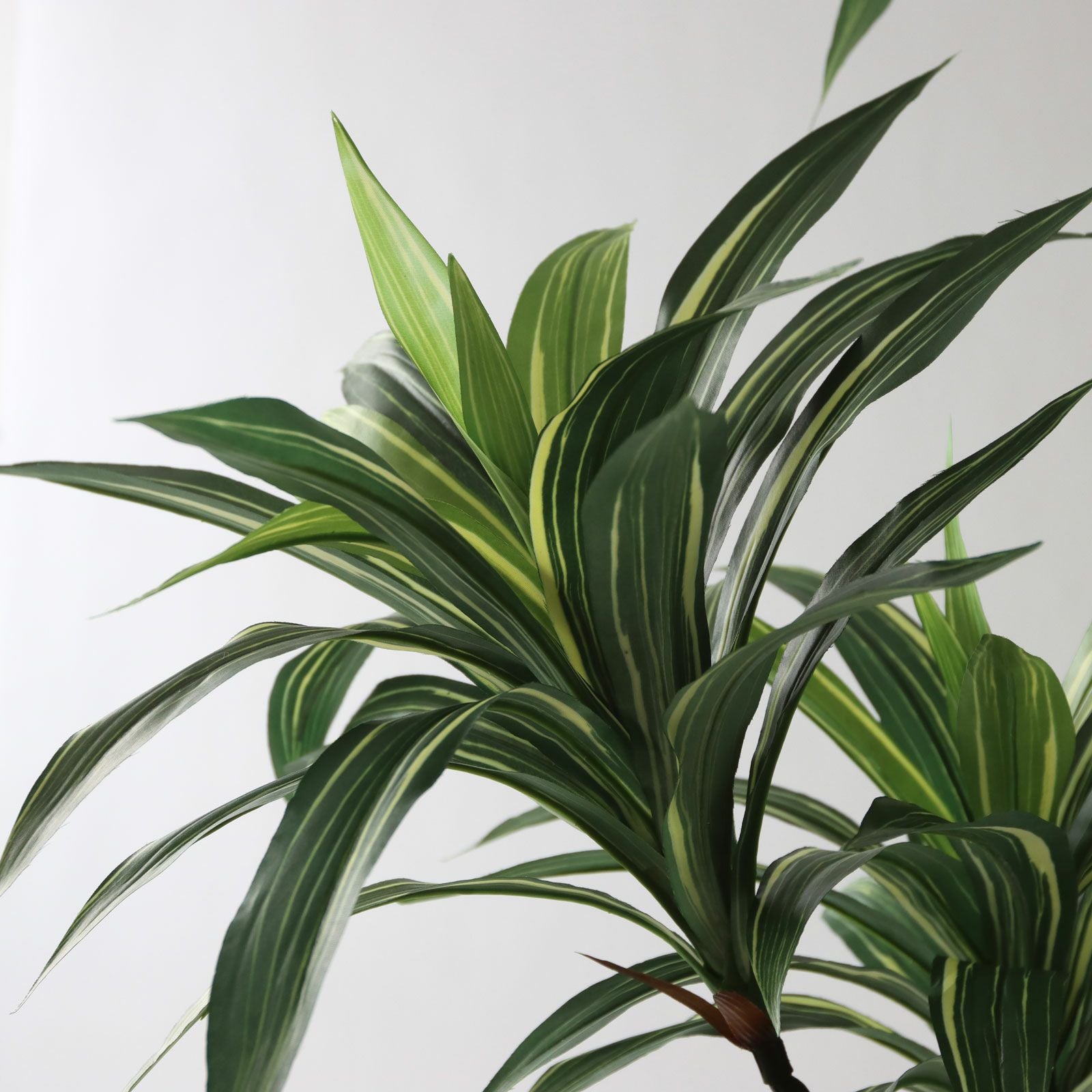 No8271 プレミアム光触媒フェイクグリーン 「爽やかな斑入り葉