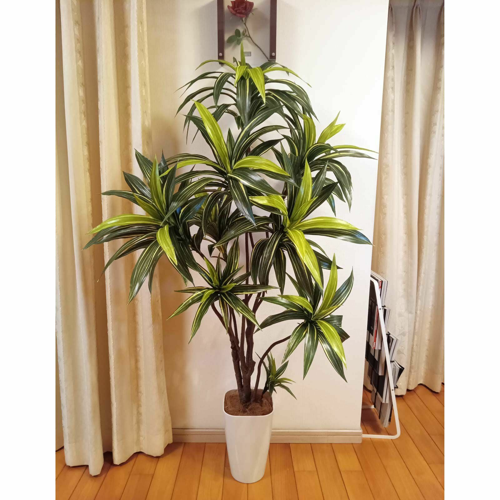 No8271 プレミアム光触媒フェイクグリーン 「爽やかな斑入り葉