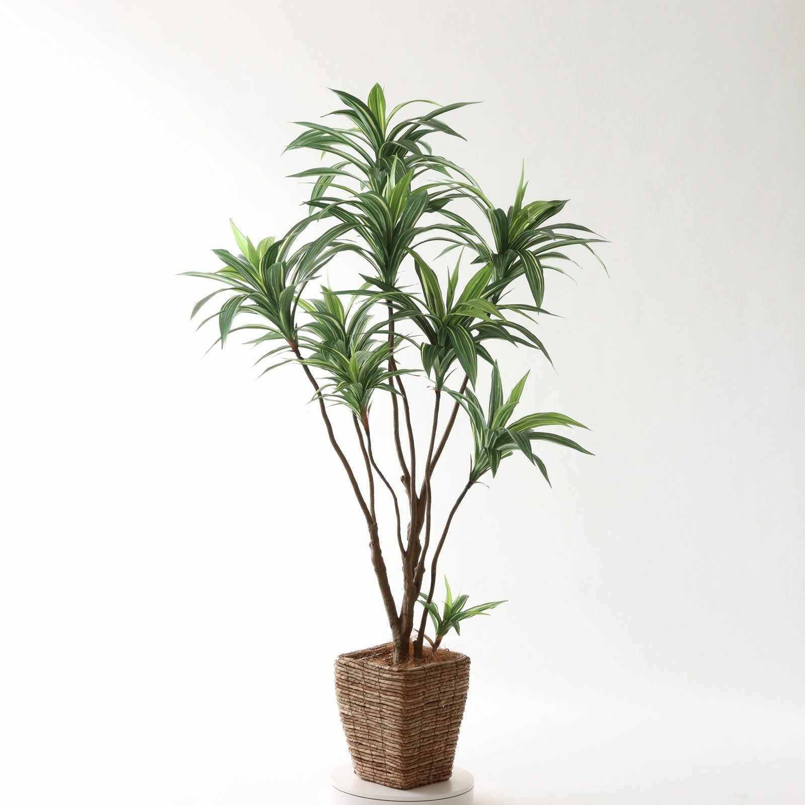 360度回転イメージ