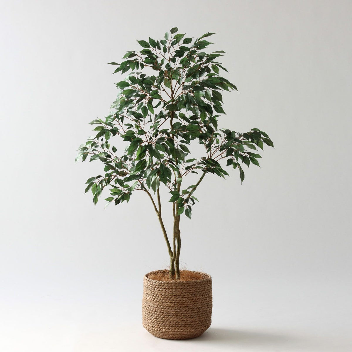 ③ シーグラス 小（SK7）鉢カバーセット