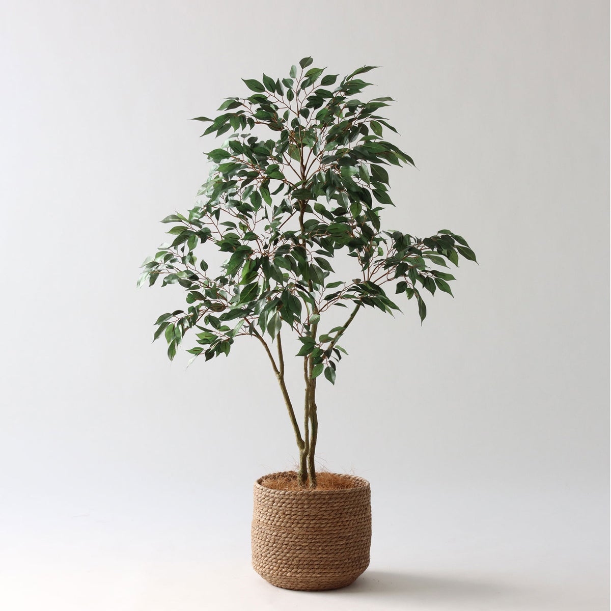 ③ シーグラス 小（SK7）｜標準セット