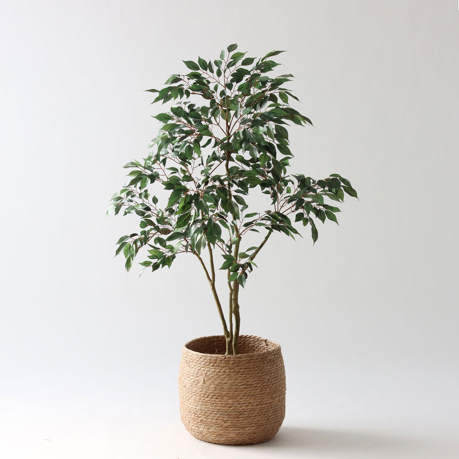 プレミアム光触媒フェイクグリーン 造花ドットコム zouka.com