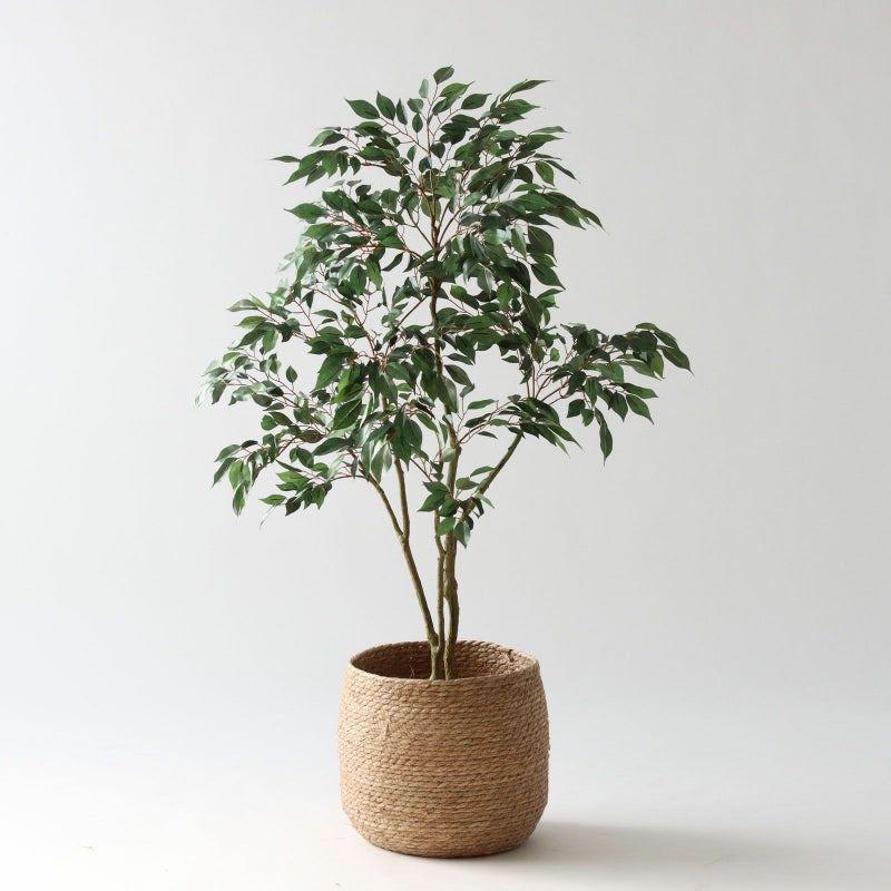 ① シーグラス 大（SK8）