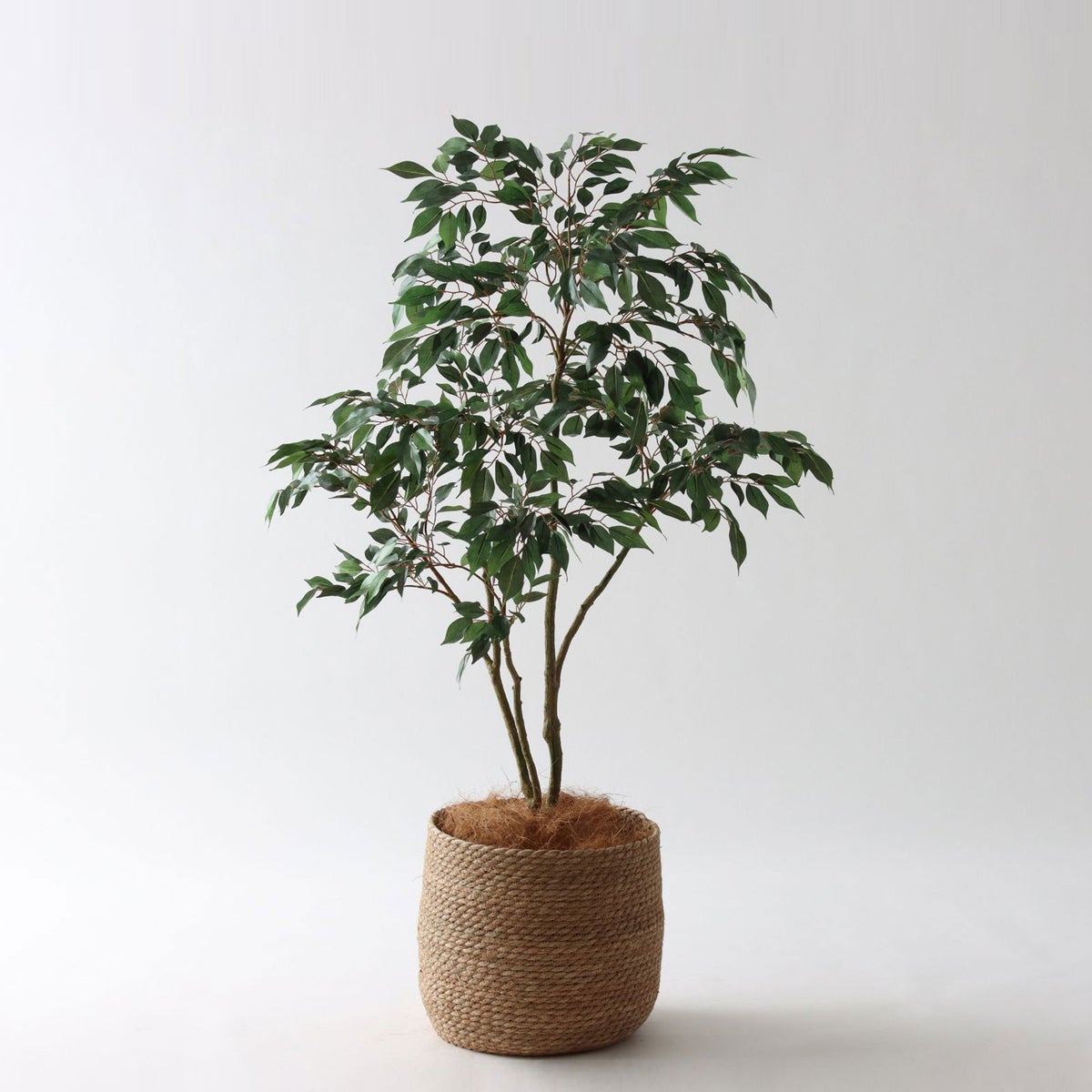 ① シーグラス 大（SK8）｜標準セット