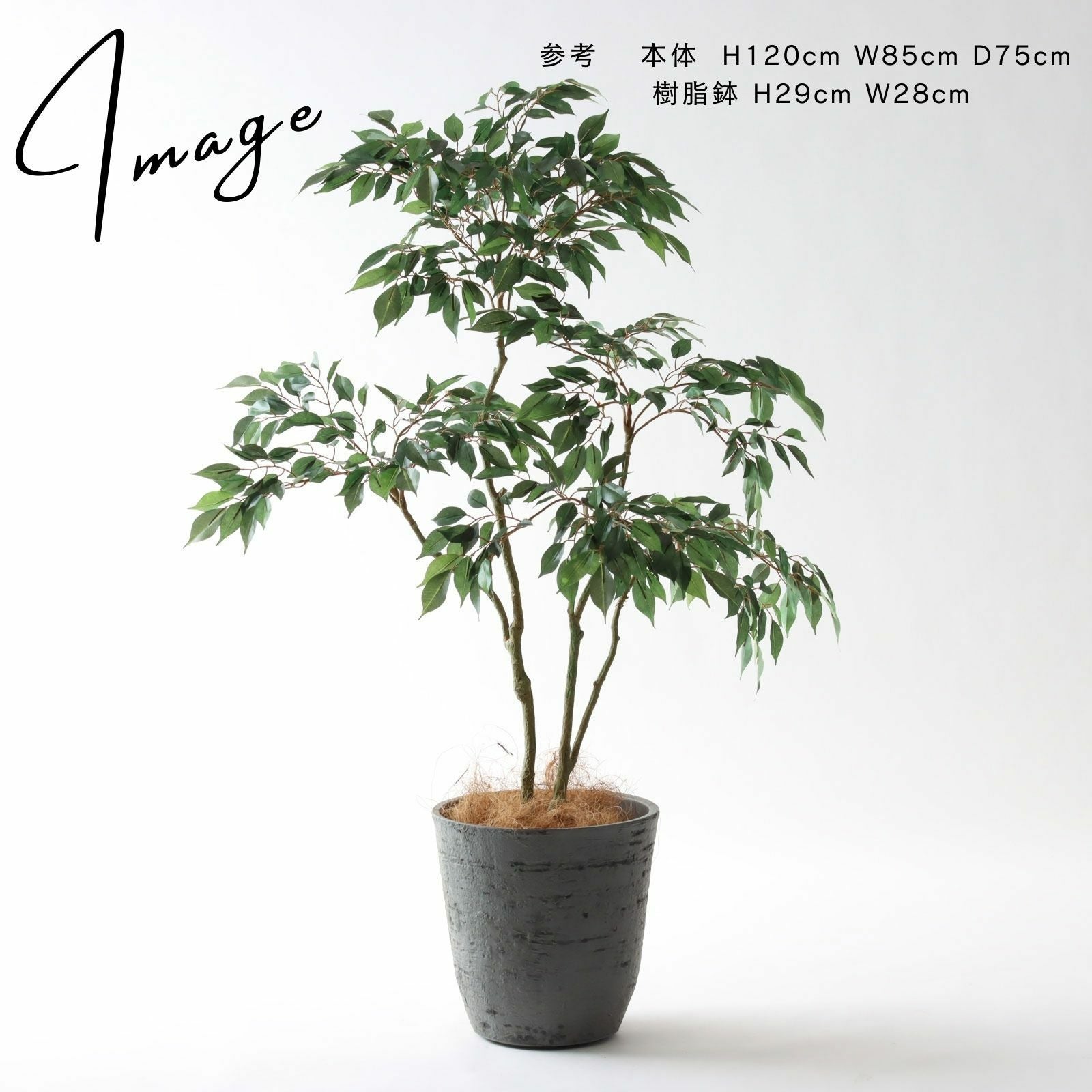 No8414 鉢カバーコーディネート提案