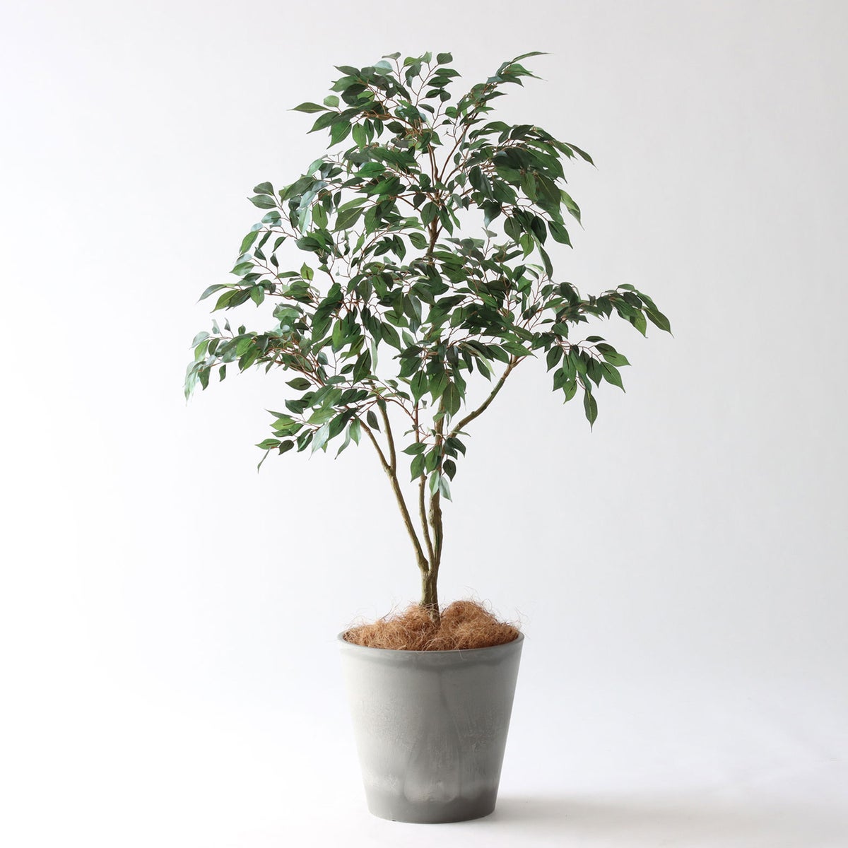 ⑮ Petraポット 小（PT8 グレー）鉢カバー＋底上げセット