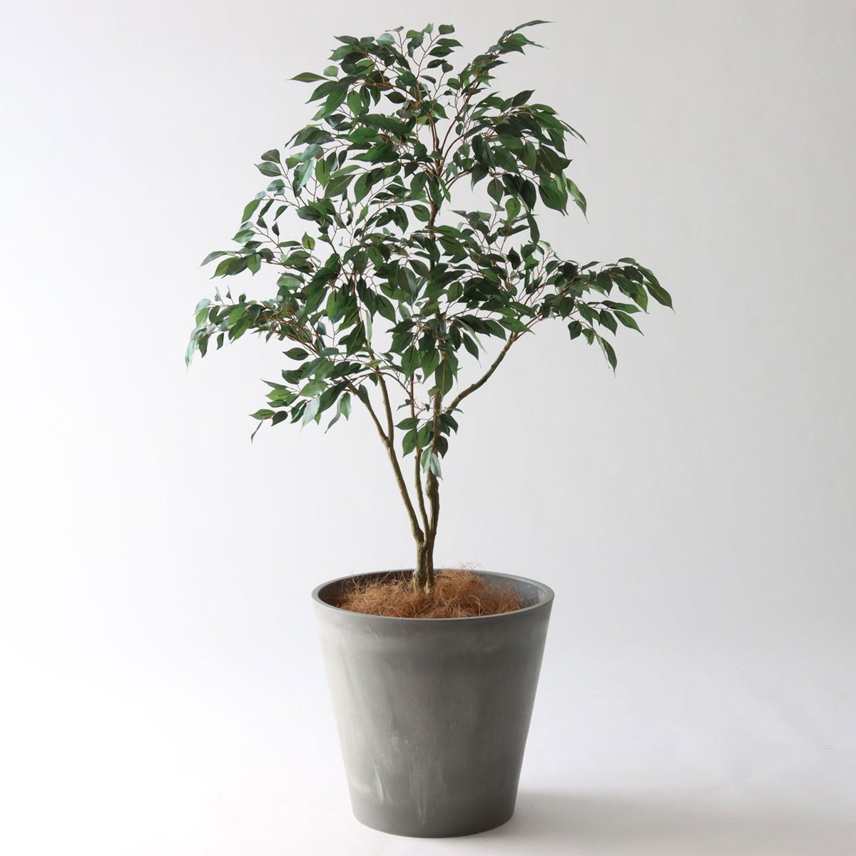 ⑯ Petraポット 大（PT10 グレー）鉢カバー＋底上げセット