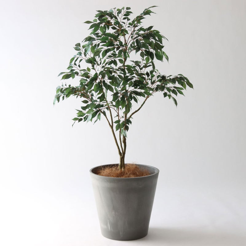 ⑯ Petraポット 大（PT10 グレー）鉢カバー＋底上げセット