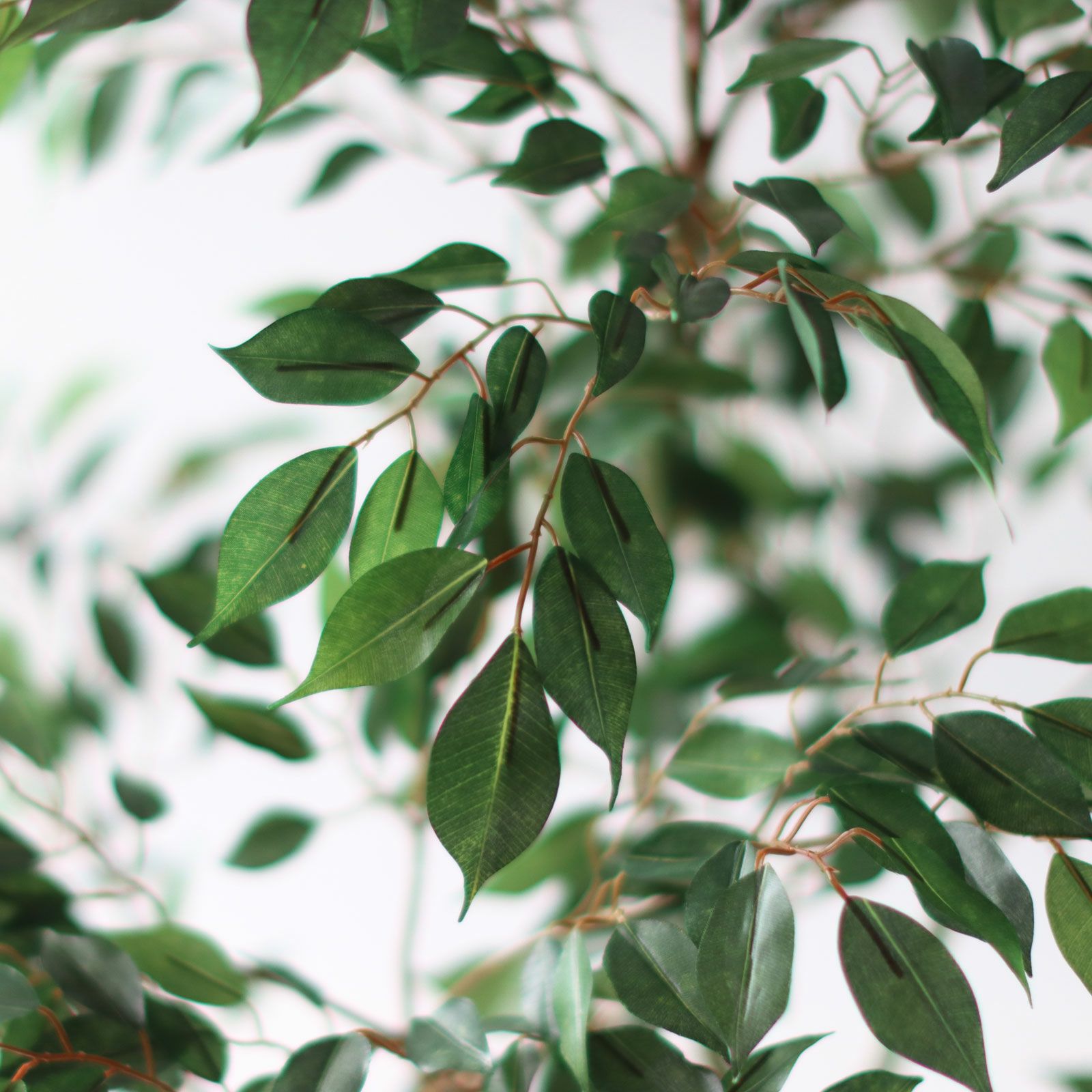 ホテルライクな空間に映えるフェイクグリーン