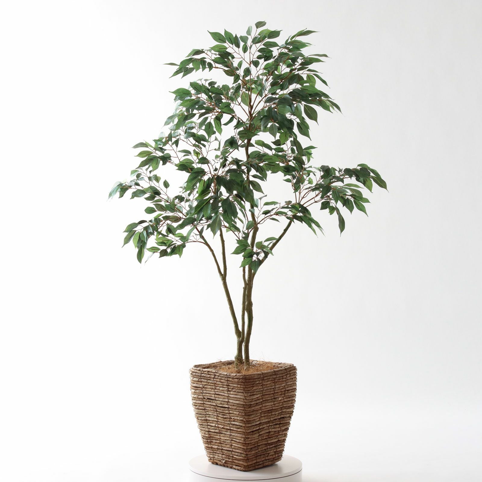 360度回転イメージ