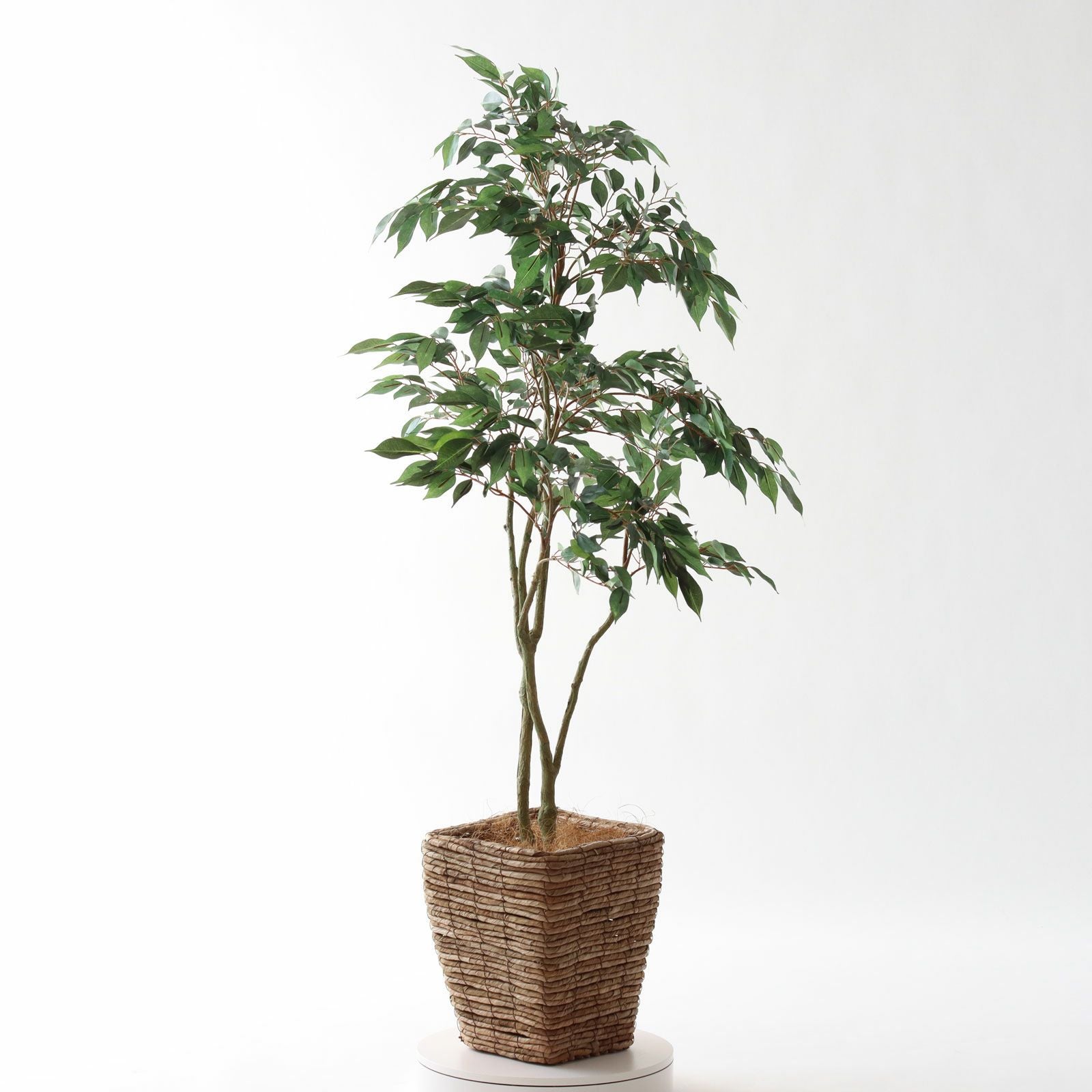 光触媒　人工観葉植物　フェイクグリーン　チランジアスタンプウッド No8414 プレミアム光触媒フェイクグリーン 「軽やかな枝ぶり × 豊かな