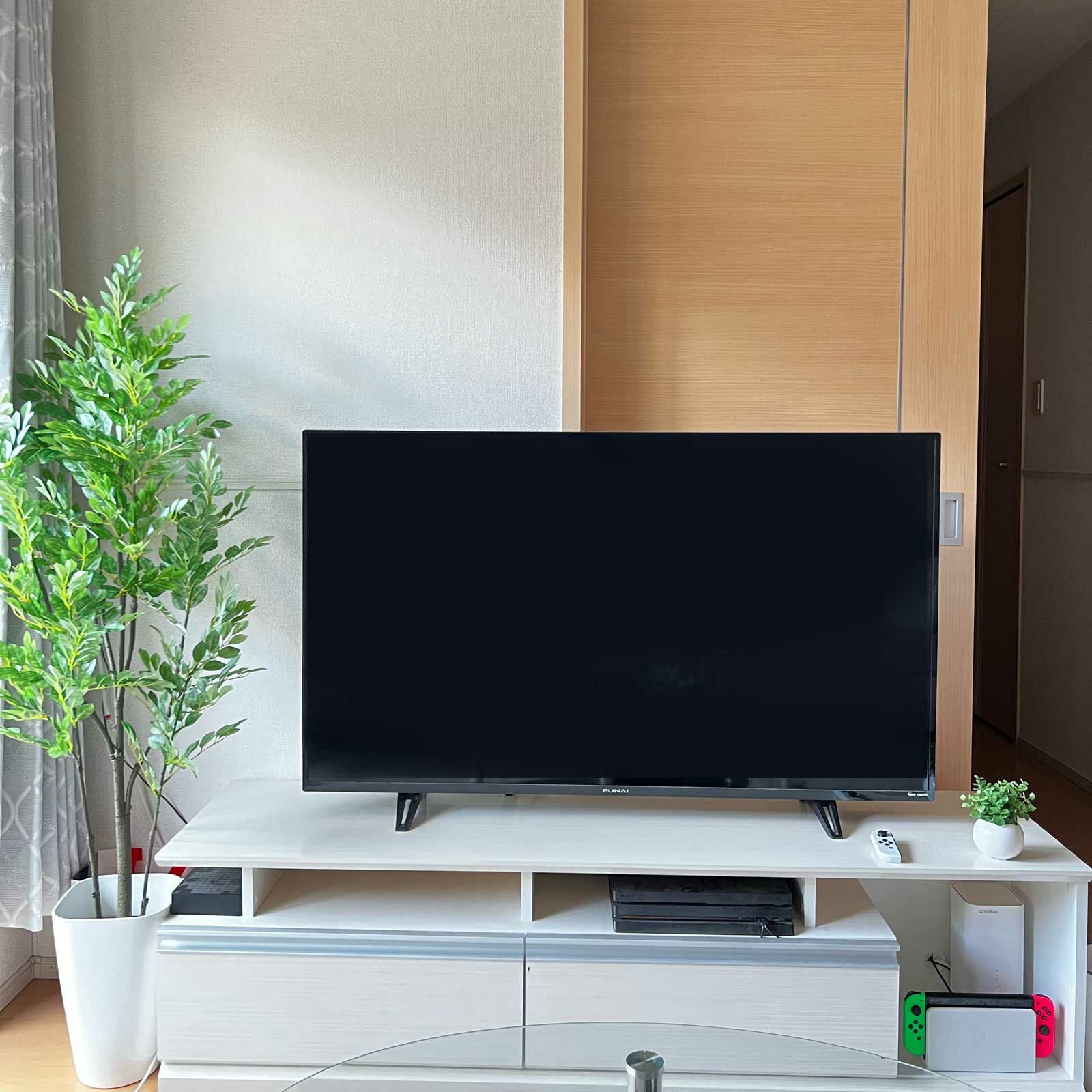 No9370 一人暮らしの部屋のグリーンイメージ