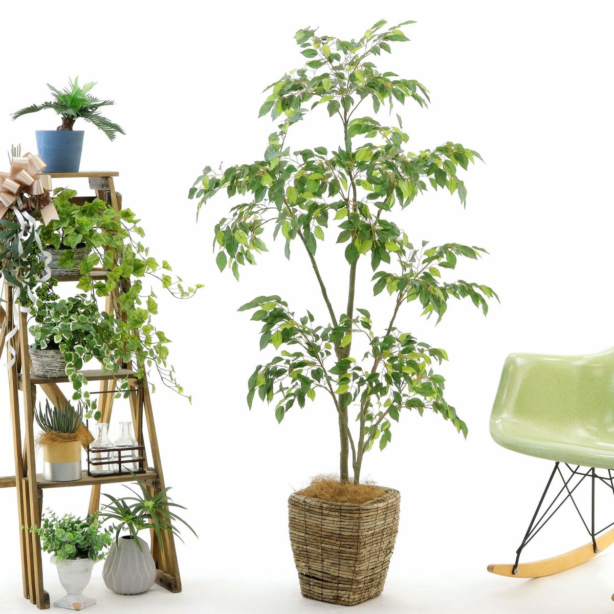 ④ バナナリーフ 小（KG4-SRE）鉢カバーセット