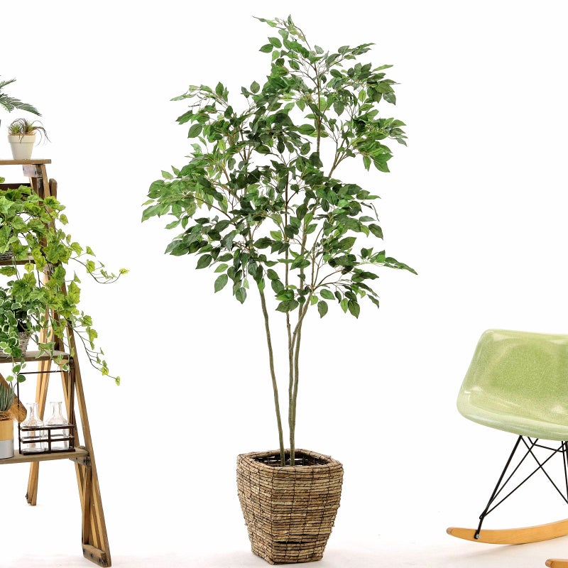 ④ バナナリーフ 小（KG4-SRE）