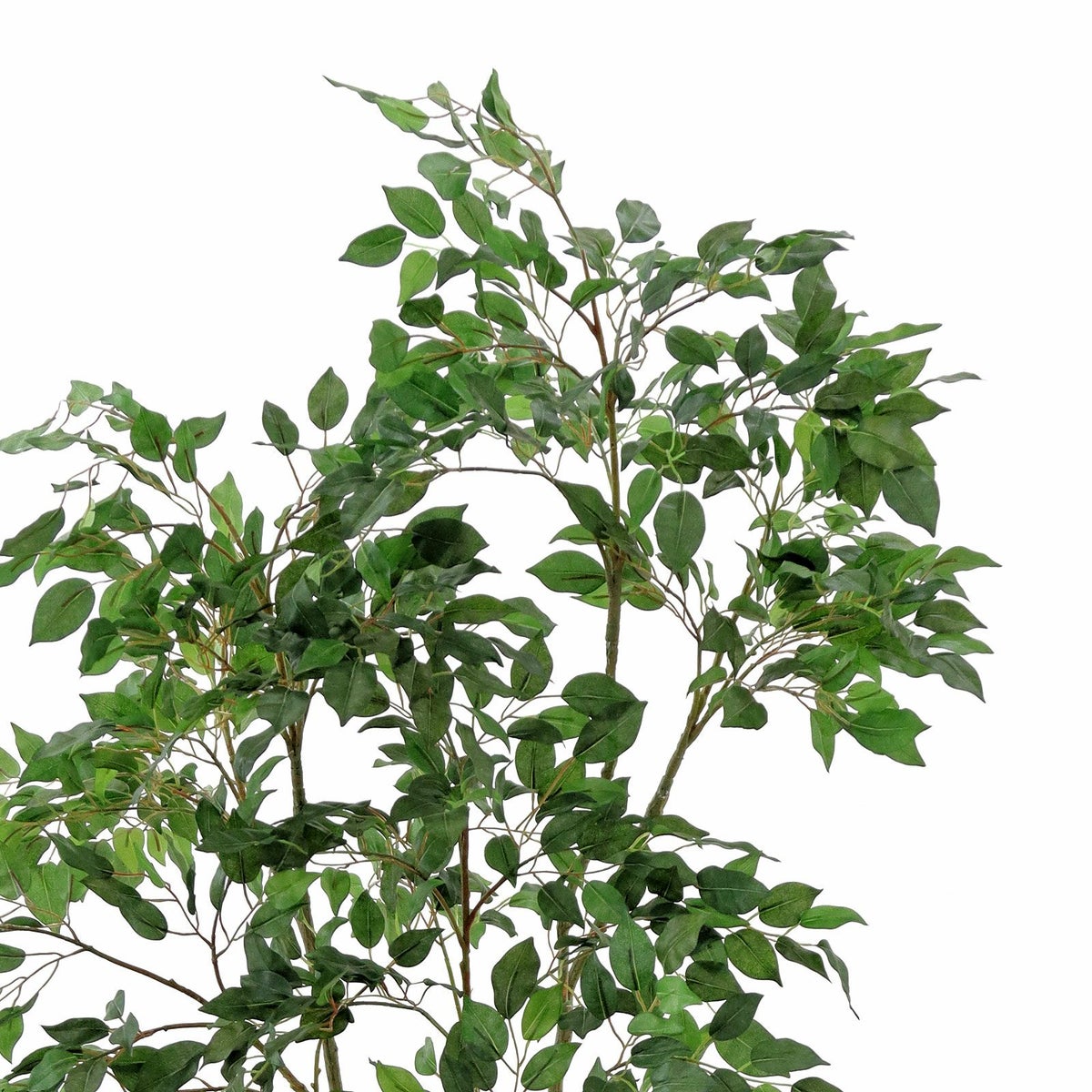 細い枝も緑系の色合い