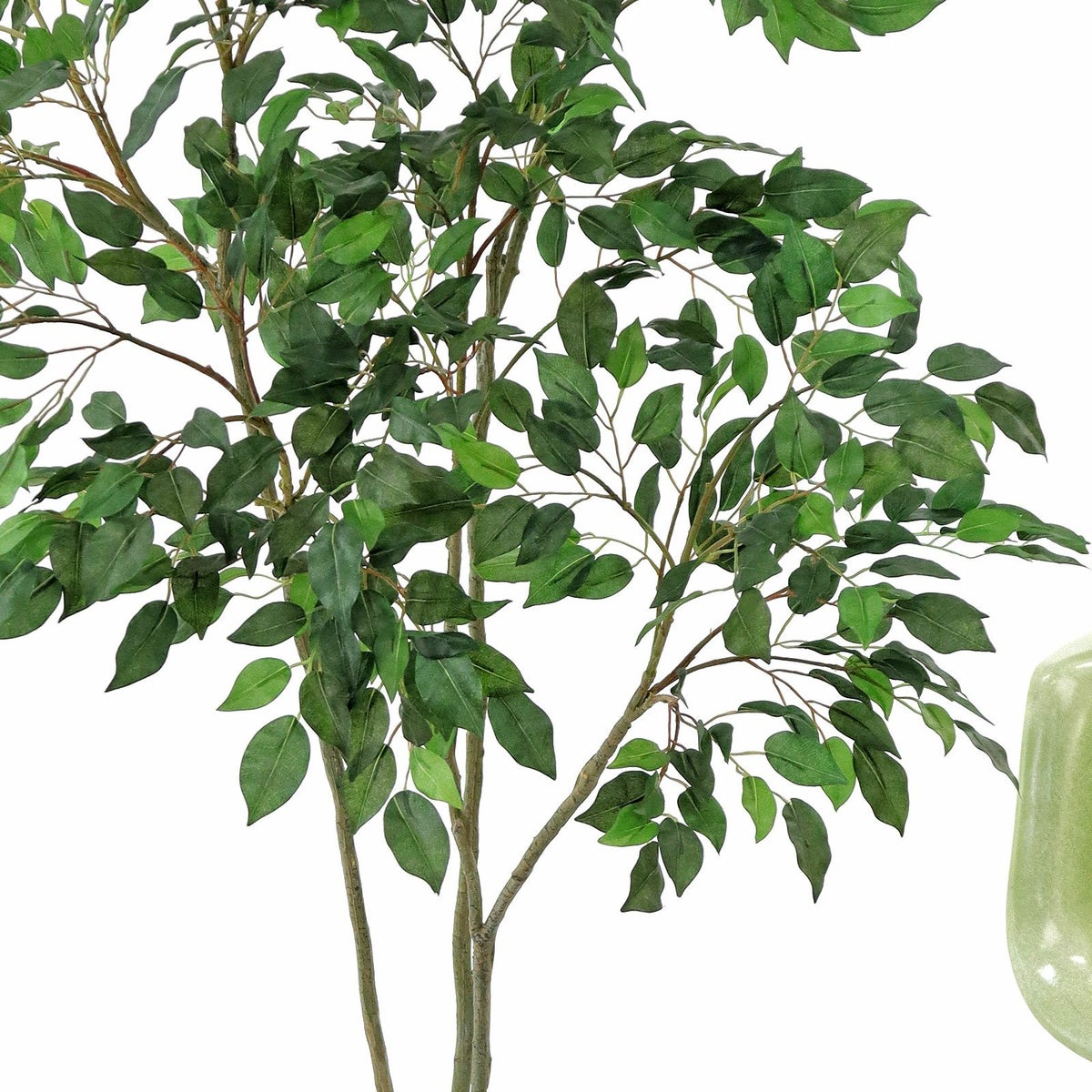 葉が裏側にならないように上向きに