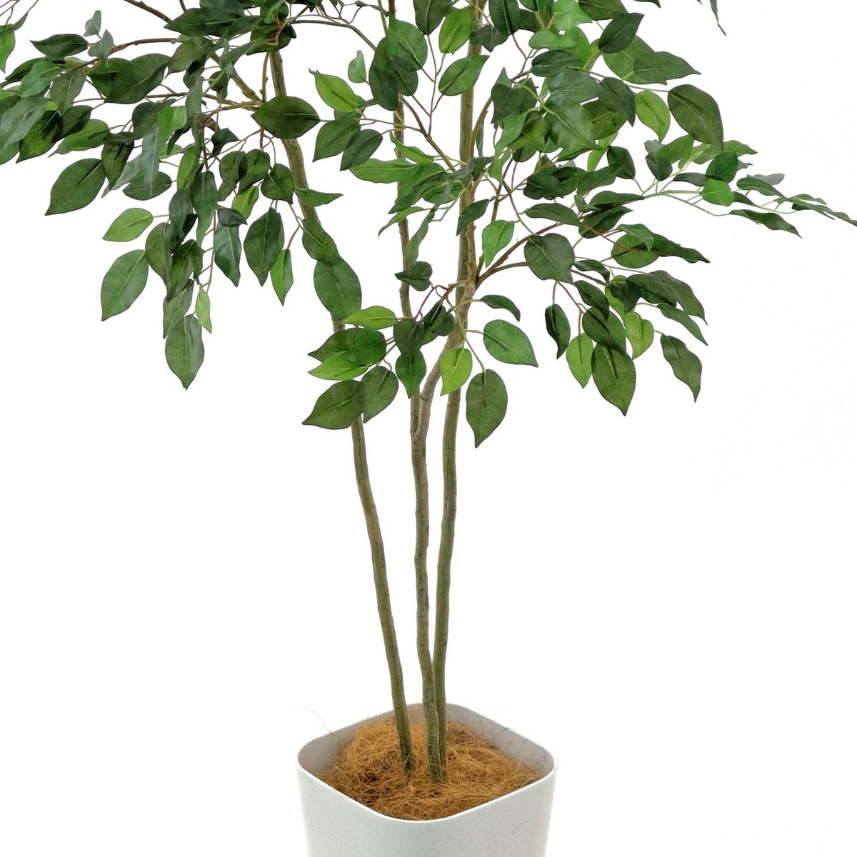 少し離れるとわかりません