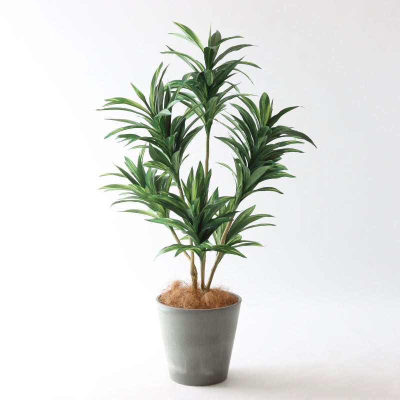 ⑮ Petraポット 小（PT8 グレー）｜高さ調整セット（+10cm）